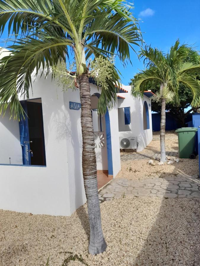 Caribbean Chillout Apartments Playa Exteriér fotografie
