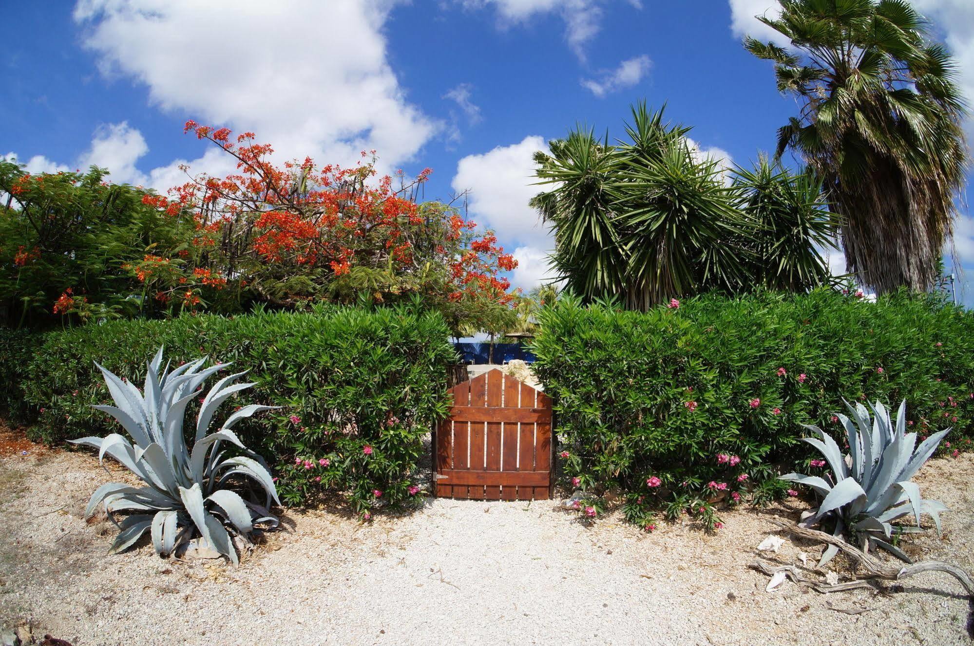Caribbean Chillout Apartments Playa Exteriér fotografie