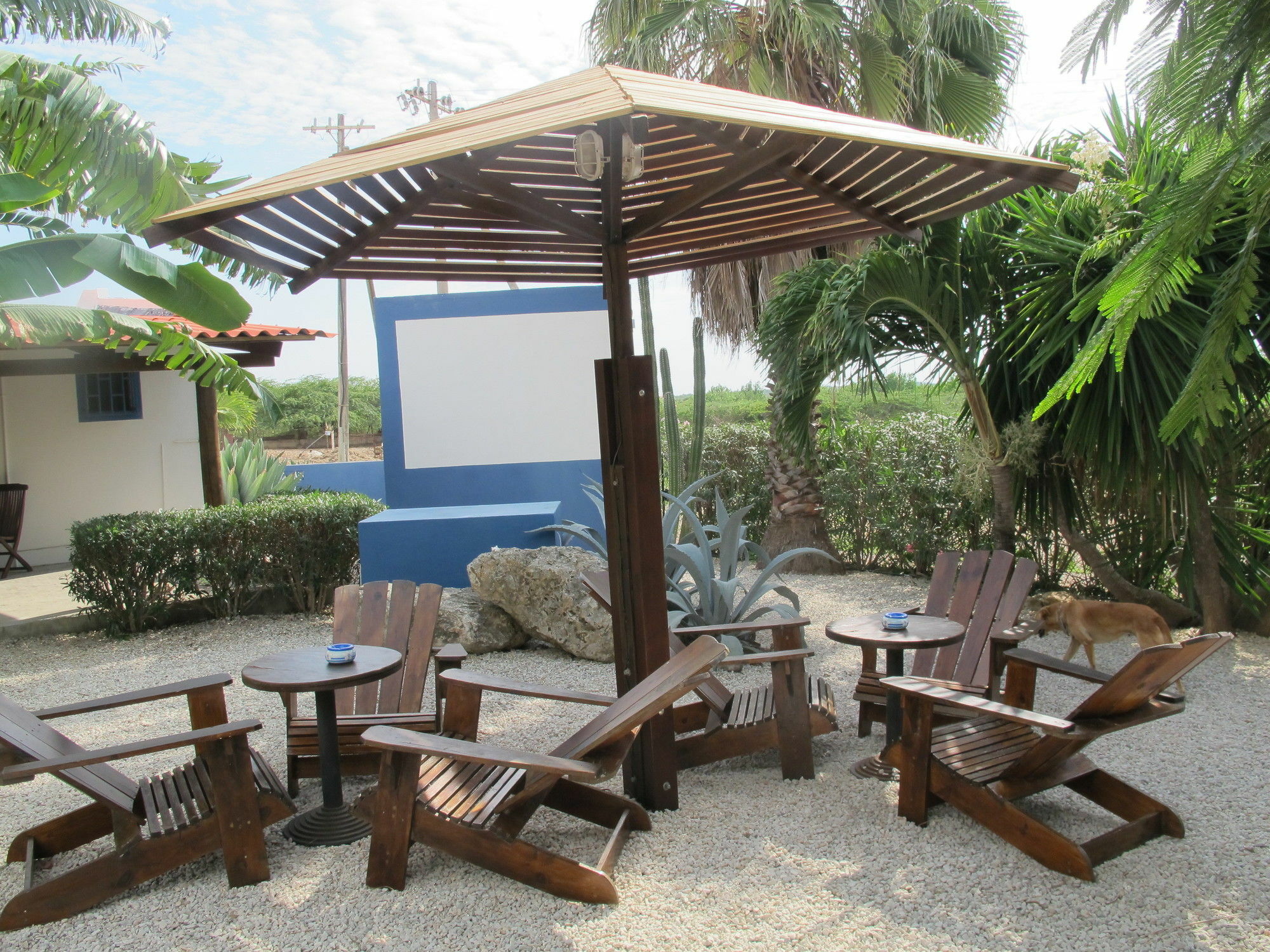 Caribbean Chillout Apartments Playa Exteriér fotografie
